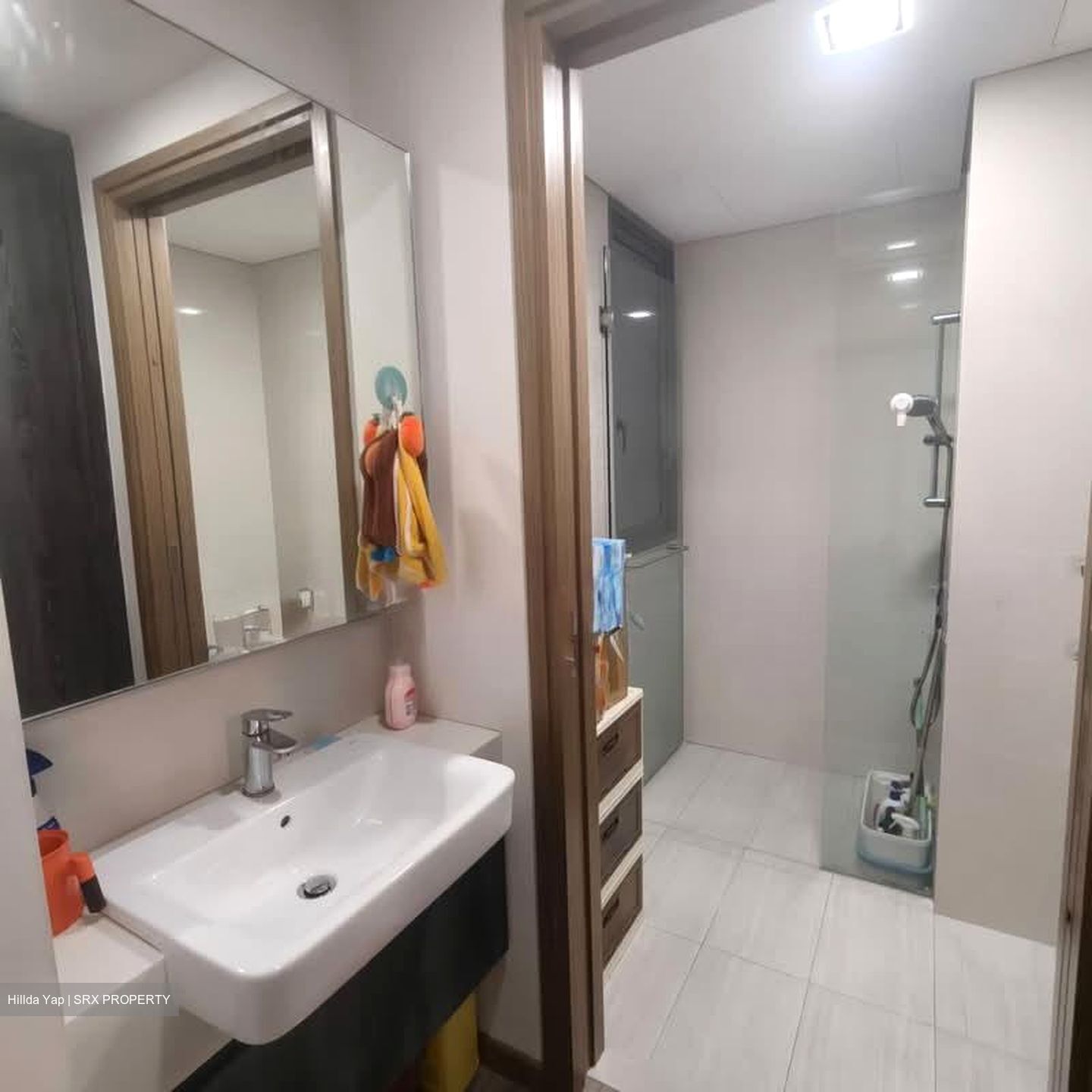Lakeville (D22), Condominium #570261791